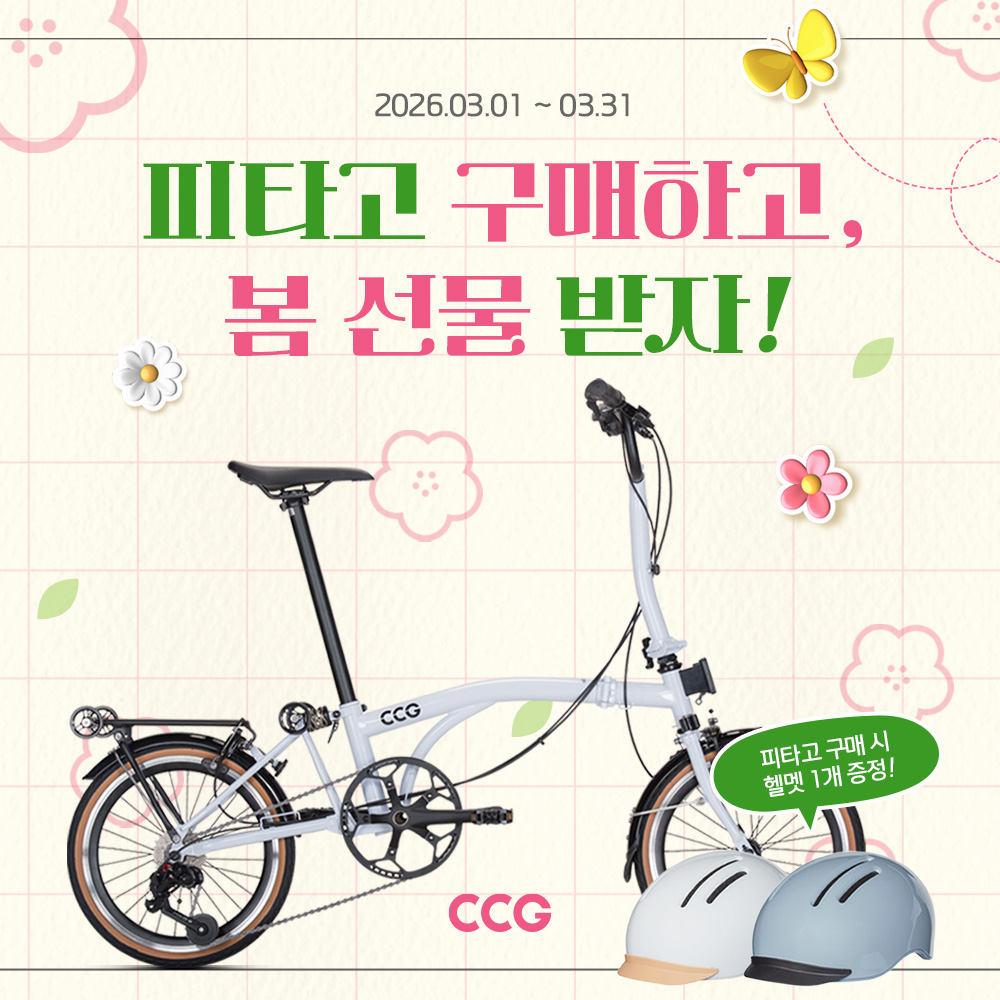 CCG 피타고 사고, 헬멧 받고!