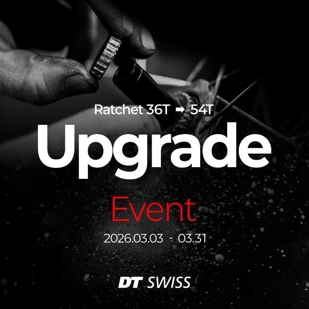 디티스위스 래칫 업그레이드 이벤트